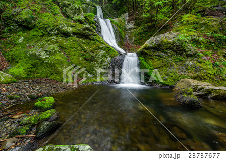 三ツ釜ノ滝(奥多摩) 23737677