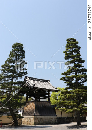 妙心寺 妙心寺 23737746