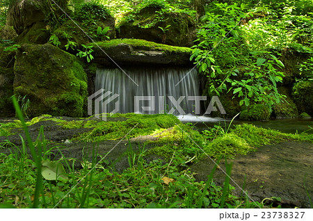大雪旭岳源水公園 大雪旭岳源水公園 23738327