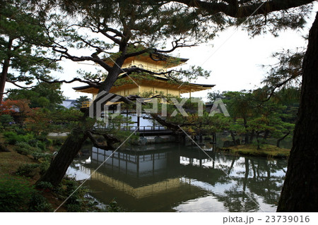 金閣寺の紅葉 金閣寺の紅葉 23739016