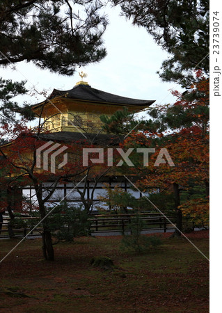 金閣寺の紅葉 23739074