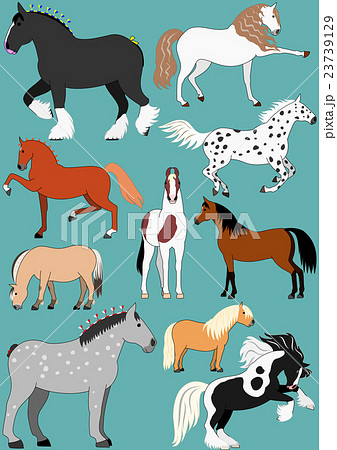 いろいろな種類の馬のイラスト素材