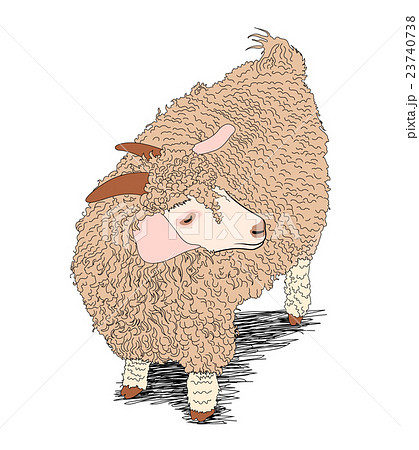 Brown sheep. Brown sheep. 23740738