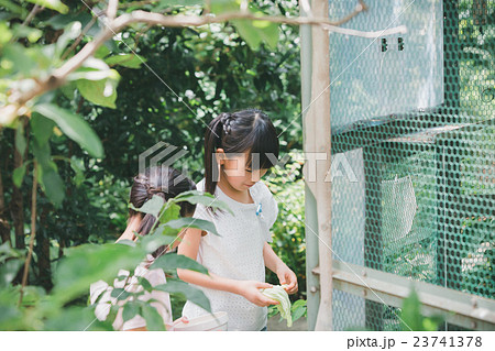 primary school child 23741378