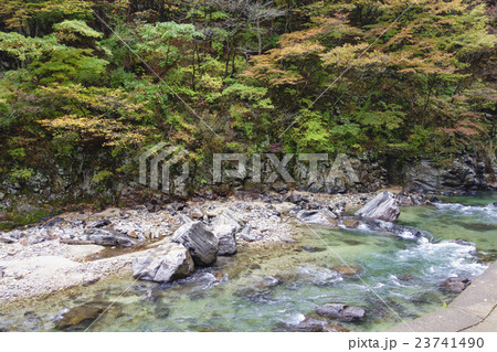秋の紅葉が見事な秋田の奥座敷「岨谷峡」そやきょう 巨石の間を縫うように流れる透明度の高い清流が美しい 秋の紅葉が見事な秋田の奥座敷「岨谷峡」そやきょう 巨石の間を縫うように流れる透明度の高い清流が美しい 23741490