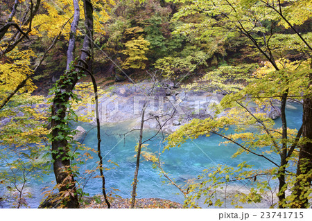 紅葉の田沢湖抱返り県立自然公園 抱返り渓谷 両岸の原生林に渓谷の美しいエメラルドグリーンが映える絶景の写真素材