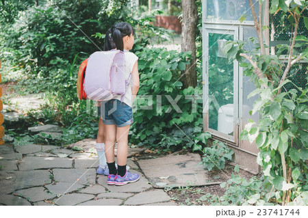 primary school child primary school child 23741744