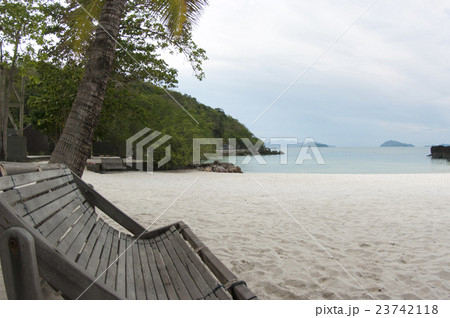 sea and sand beach on island with coconut tree 23742118