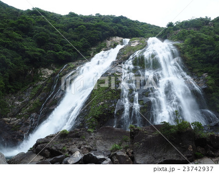 屋久島の大川の滝 23742937