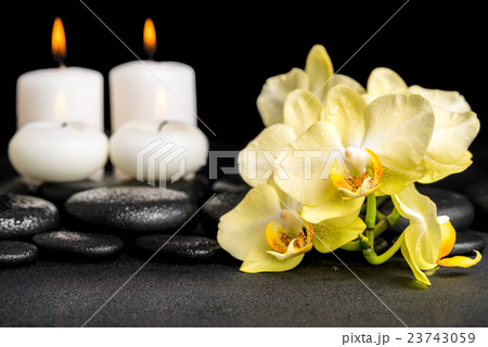 spa still life of yellow orchid phalaenopsis  23743059