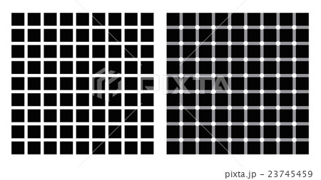 Hermann grid and scintillating grid illusion 23745459