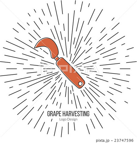 Winemaking, wine tasting logotype design concept 23747596