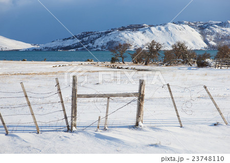 Winter in Patagonia 23748110