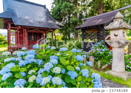 笹野観音堂 23748189