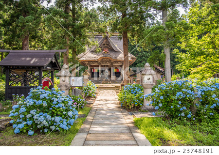 笹野観音堂 23748191