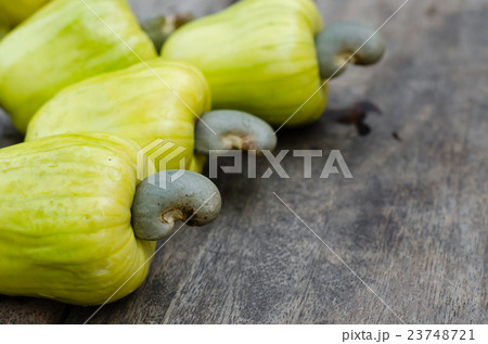Fresh Cashew from The Natural Orchard. Fresh Cashew from The Natural Orchard. 23748721