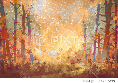 pathway in autumn forest 23749099