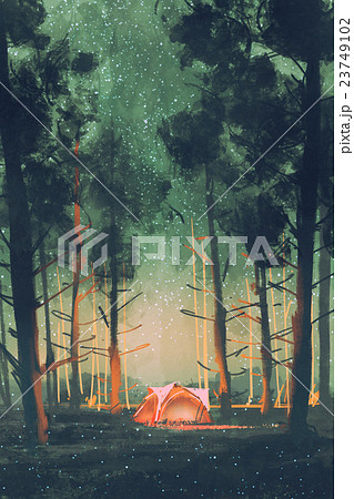 camping in forest at night 23749102