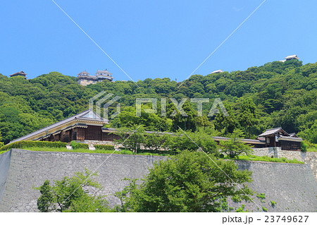 城山公園から見た松山城 23749627