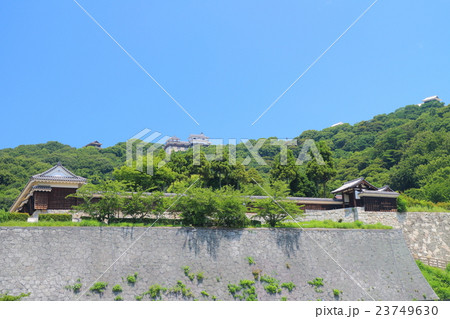 城山公園から見た松山城 23749630