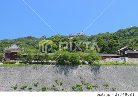 城山公園から見た松山城 23749631