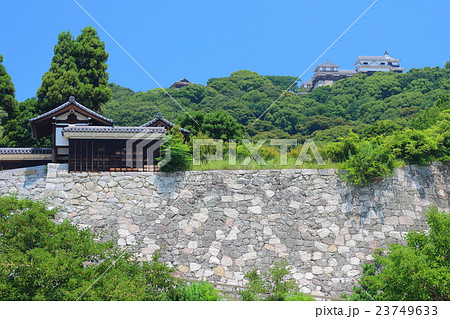 城山公園から見た松山城 城山公園から見た松山城 23749633