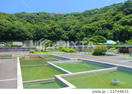 二ノ丸史跡庭園から見た松山城 二ノ丸史跡庭園から見た松山城 23749635