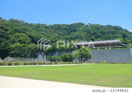 城山公園から見た松山城 23749642