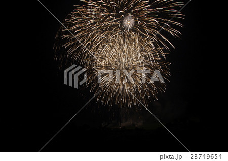 闇に咲く花 23749654