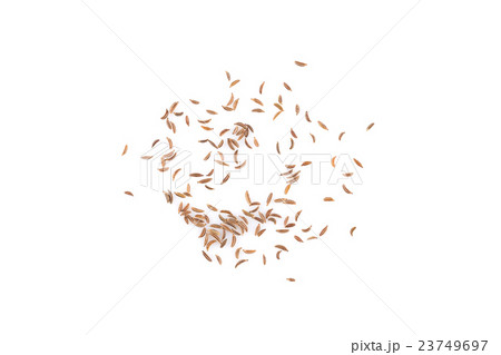 Heap of dry caraway seeds Heap of dry caraway seeds 23749697