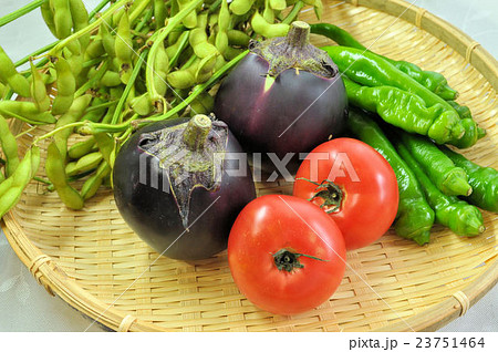 夏の京野菜 23751464