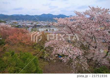 法輪寺 23751936
