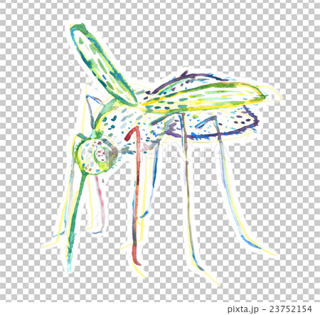 蚊 23752154