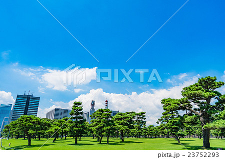 【東京】皇居外苑の松原 【東京】皇居外苑の松原 23752293