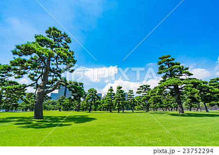 【東京】皇居外苑の松原 【東京】皇居外苑の松原 23752294