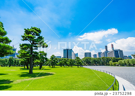 【東京】皇居外苑の松原 23752298