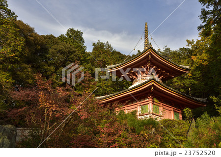 今熊野観音寺 医聖堂 大師堂 今熊野観音寺 医聖堂 大師堂 23752520
