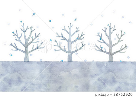 冬の木のイラストのイラスト素材