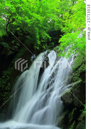 遠野　夏の藤沢渓流 23753018