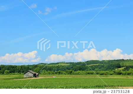 北海道の綺麗な風景 23753128