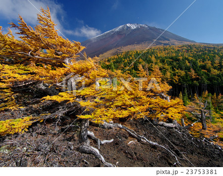 奥庭の秋富士 23753381