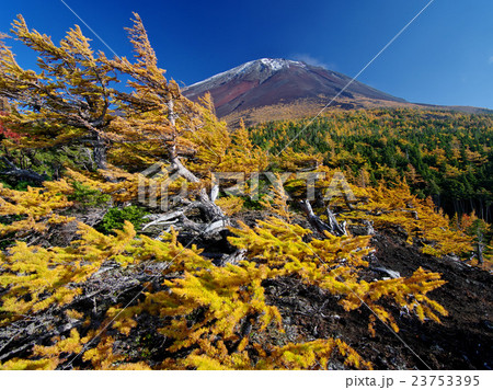 奥庭の秋富士 23753395