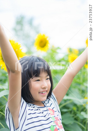 ひまわりと女の子 ひまわりと女の子 23753917