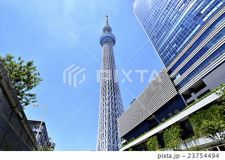 東京スカイツリー 東京スカイツリー 23754494