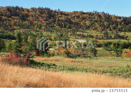 立山黒部 紅葉の弥陀ヶ原高原 立山黒部 紅葉の弥陀ヶ原高原 23755515