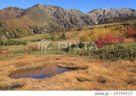 立山黒部 紅葉の弥陀ヶ原湿原 ガキ田の写真素材