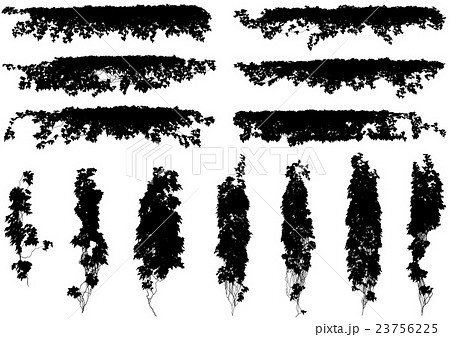 植物のシルエットのイラスト素材 23756225 Pixta