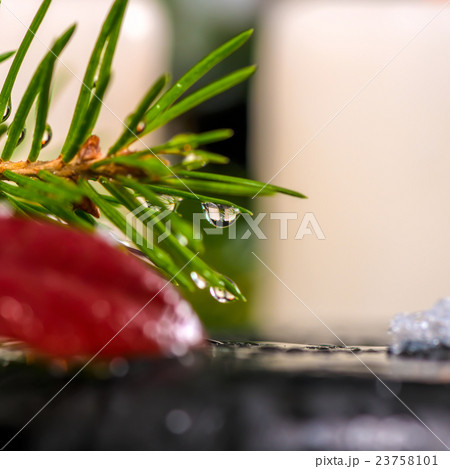 winter spa concept of evergreen branches  23758101