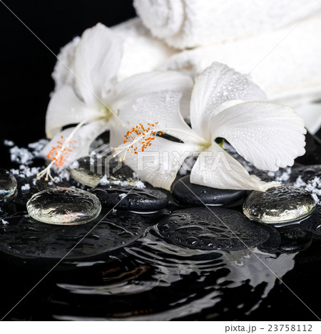 Beautiful spa concept of delicate white hibiscus 23758112
