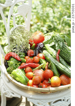 新鮮な野菜 新鮮な野菜 23759301
